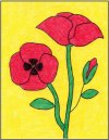 Draw a poppy (artprojectsforkids.org)