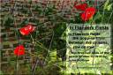 In Flanders Fields - jigsaw puzzle (Thumbnail for A4 size)