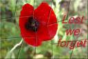 Lest we forget - jigsaw puzzle (Thumbnail for A4 size)