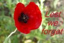 Lest we forget - poster (Thumbnail for A4 size). Red poppy.