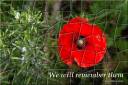 We will remember them - jigsaw puzzle (Thumbnail for A4 size)